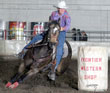 Barrel Horse For Sale