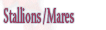 Nominated Stallions & Mares