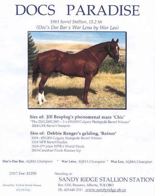 Docs Paradise, Sandy Ridge Stallion Station