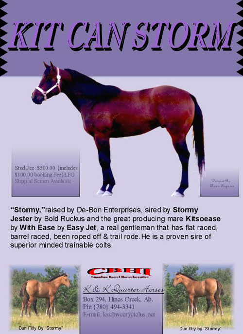 Kit Can Storm - Canadian Barrel Incentive Stallion