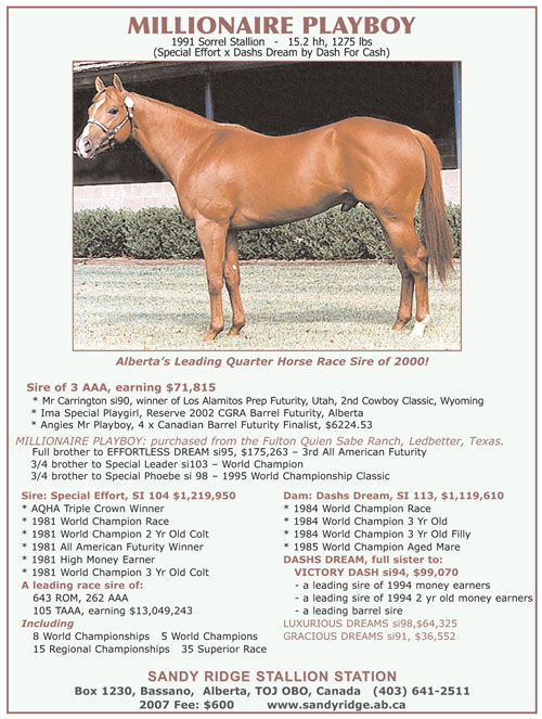 Millionaire Playboy - Alberta's Leading Quarter Horse Race Sire of 2000