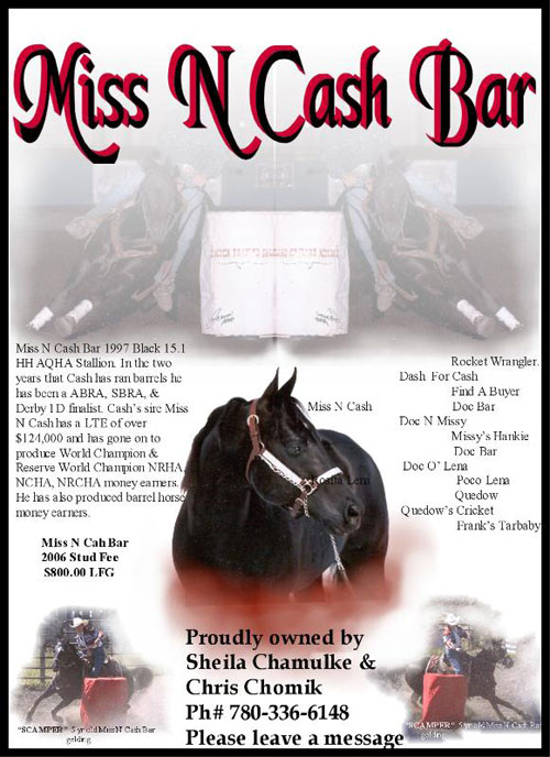 Miss N Cash Bar