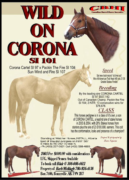Wild On Corona