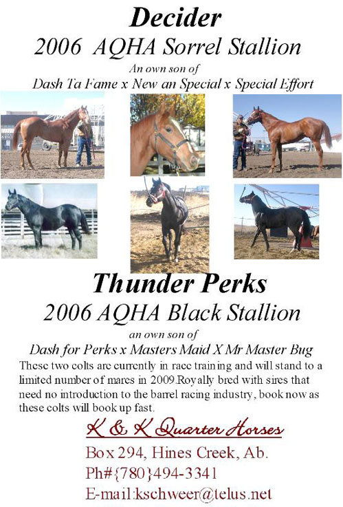 Thunder Perks - K & K Quarter Horses