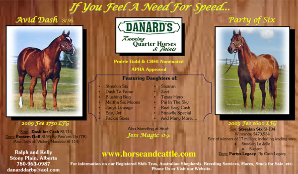 Danard's Running Quarter Horses & Paints - Avid Dash & Party of Six