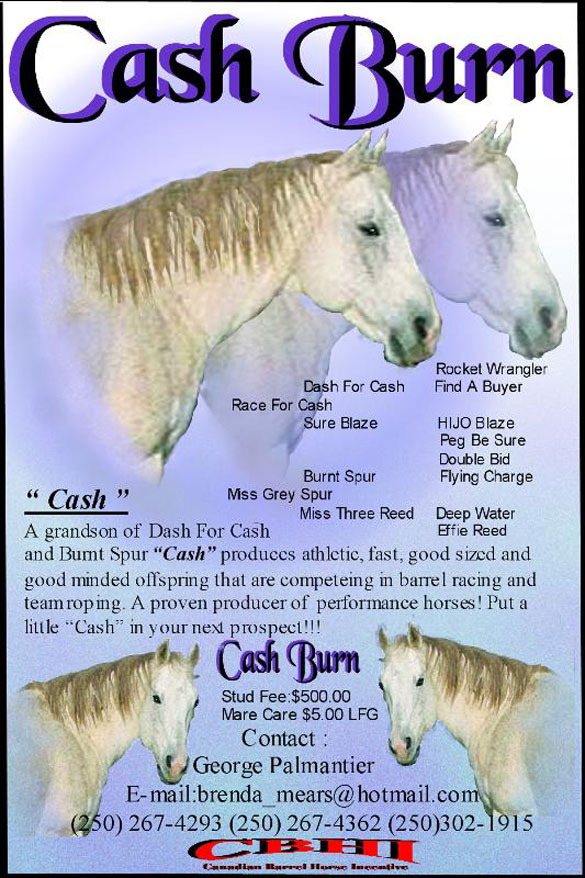 Cash Burn - grandson of Dash For Cash