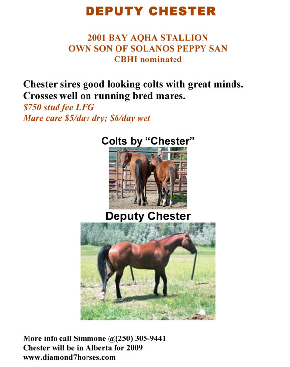 Deputy Chester by Solanos Peppy San