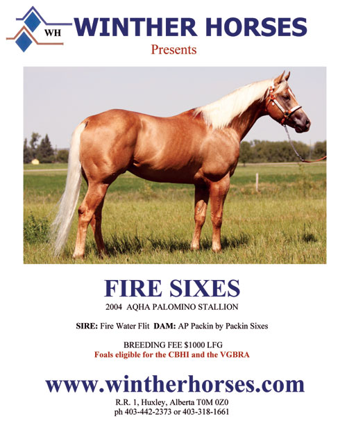 Fire Sixes by Fire Water Flit & AP Packin by Packin Sixes