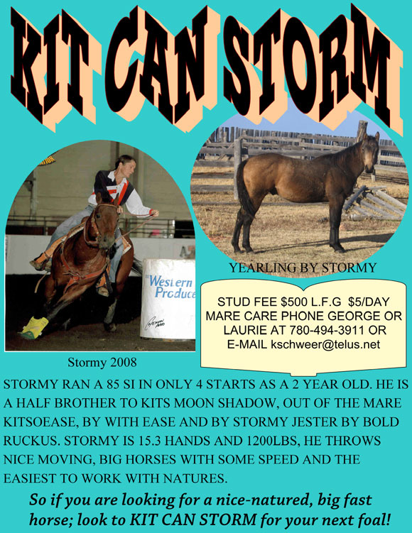 Kit Can Storm