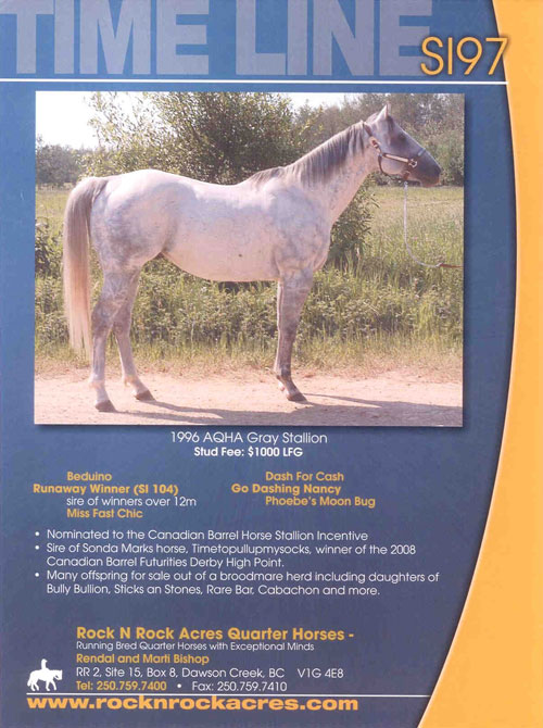 Timeline (Beduino & Dash For Cash)