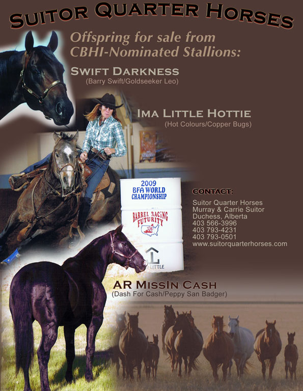 Swift Darkness - Suitor Quarter Horses