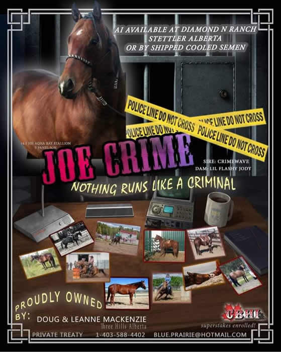 Joe Crime