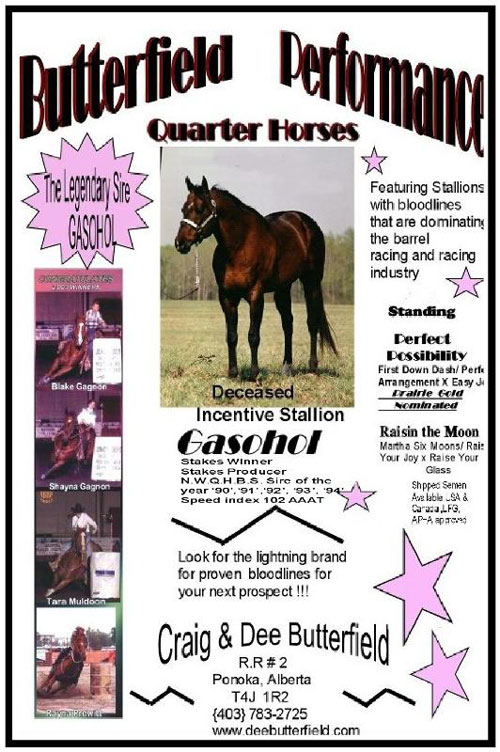 Butterfield Performance Horses