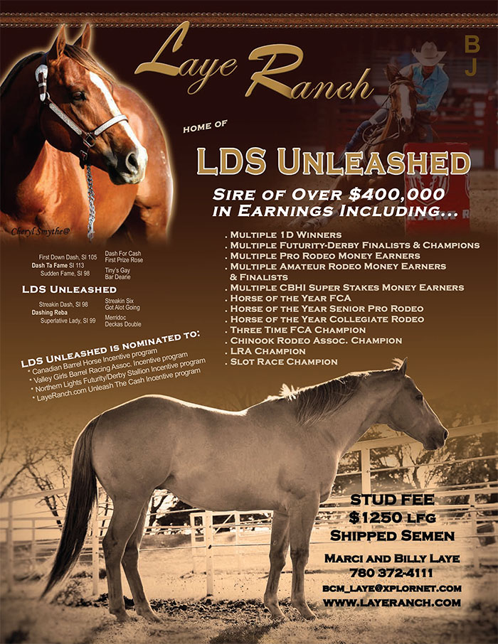 LDS Unleashed - proven own son of Dash Ta Fame - over $400,000 in offspring earnings