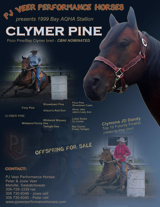 Clymer Pine
